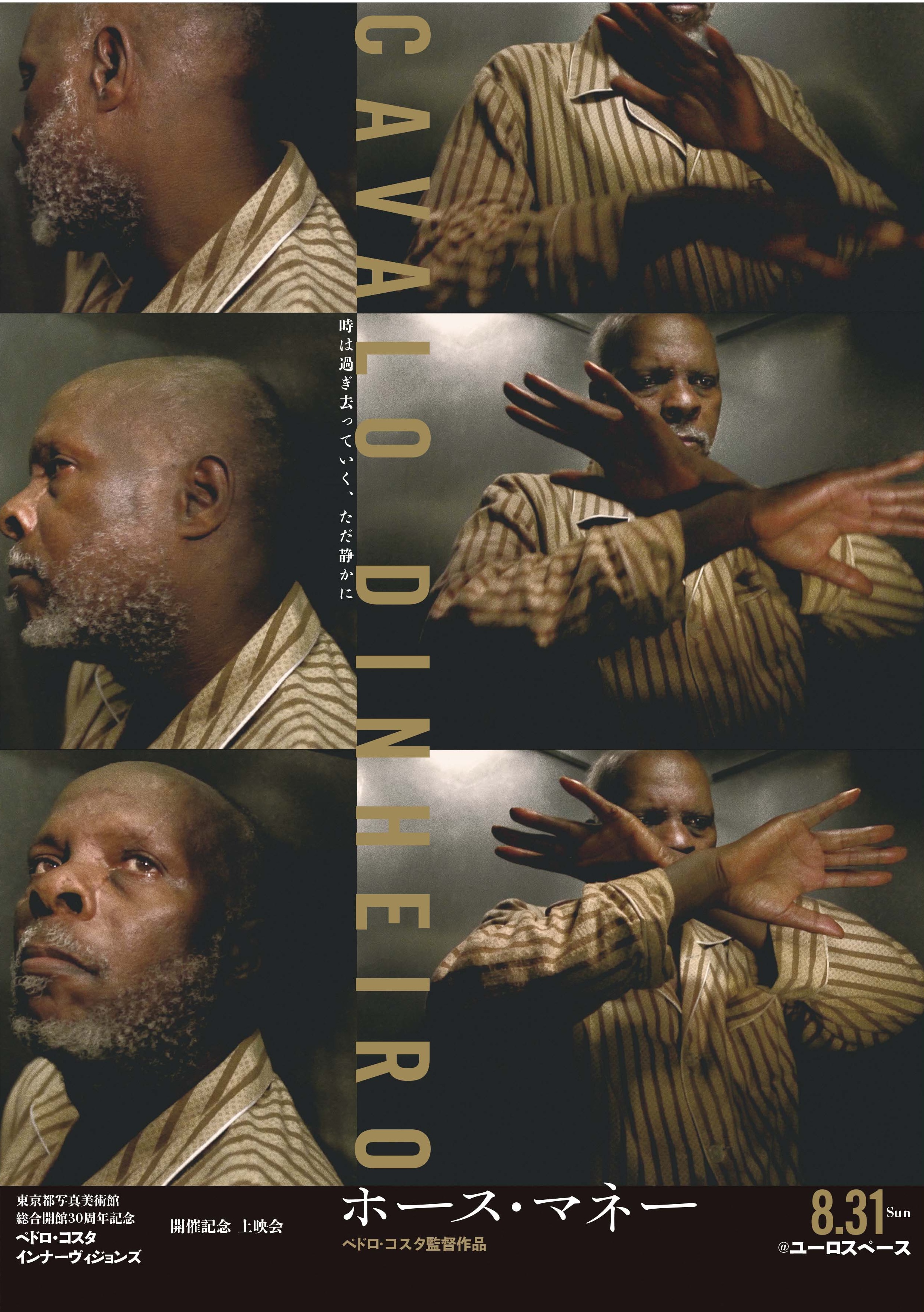 ホース・マネー